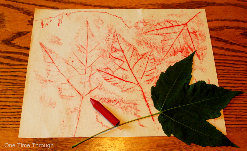 Canada Day Leaf Rubbing