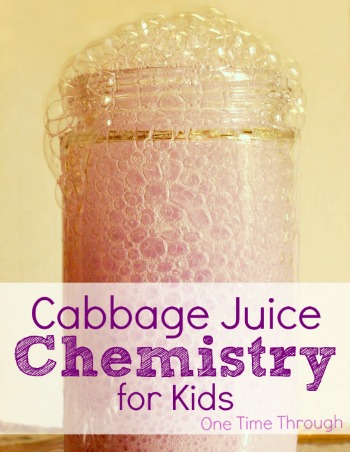 Cabbage Juice Chemistry for Kids