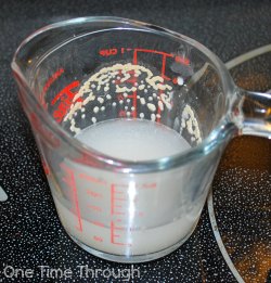 Yeast experiment