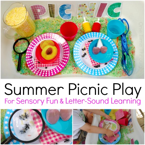 Summer Picnic Play