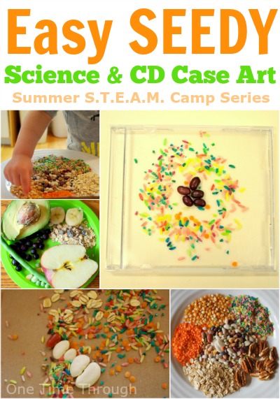 Easy Seedy Science and CD Art