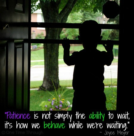 Patience is the Ability to Wait Quote