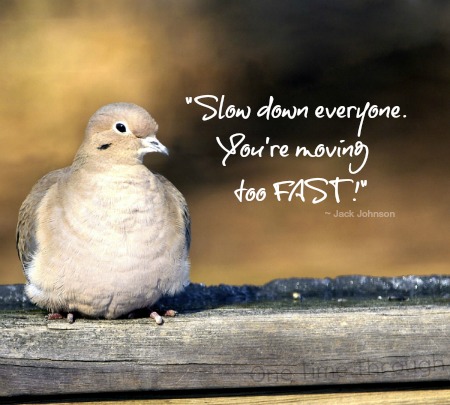 Slow Down Quote